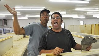 Celebrity Show 160 David Barsky - TV Producer and Geocacher Profile