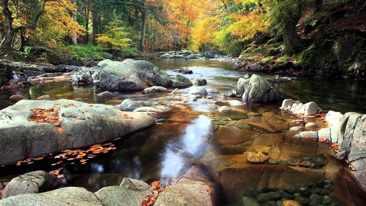 Звуки Природы / Звук ручья, Лесной ручей, Шум ручья - YouTube