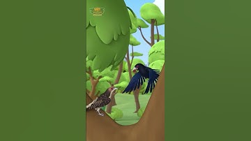 Bird feeding his Girlfriend! 😍🥰 | Leo the Wildlife Ranger | #shorts #education #kids