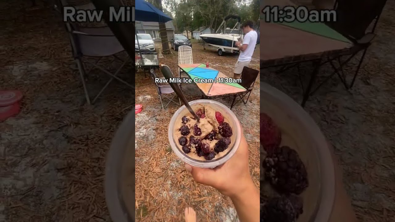 DAY 48 Full Day Of Eating Animal Based Diet Fulldayofeating Animalbased L
