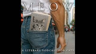 54. Performative Male Readers: A Modest Proposal