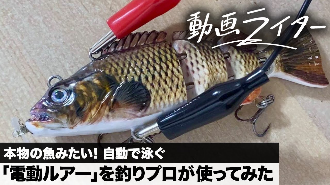 It looks just like a real fish! A fishing pro tries out an