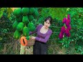 Harvesting fruits,eggs goes to market sell - taking care of the vegetable puppy, garden, fertilizing