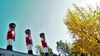 【2/1Birthday】V.ハーバート 喜歌劇｢おもちゃの国の赤ん坊｣：おもちゃの行進［ナクソス・クラシック・キュレーション #365日 Calendar Classic］