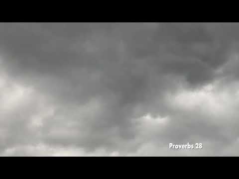 THE PROVERBS PROJECT: Proverbs 28 - YouTube