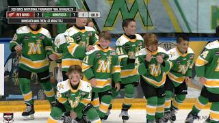 Team Minnesota vs. Detroit Jr. Red Wings | Championship Highlights | 2026 Brick