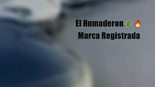 El Humaderon Marca Registrada Letra à¤¨ à¤ª à¤² Vlip Lv De vez en cuando en un razer. à¤¨ à¤ª à¤² vlip lv