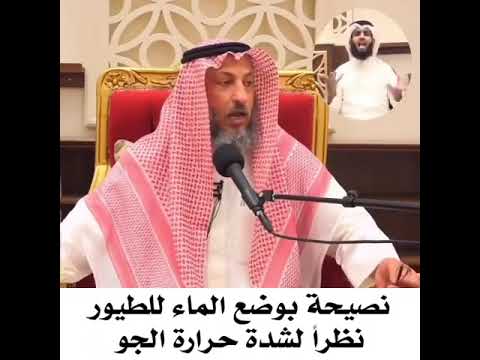 صدقة الماء ع الطيور لها أجر عظيم مع هذا الحر