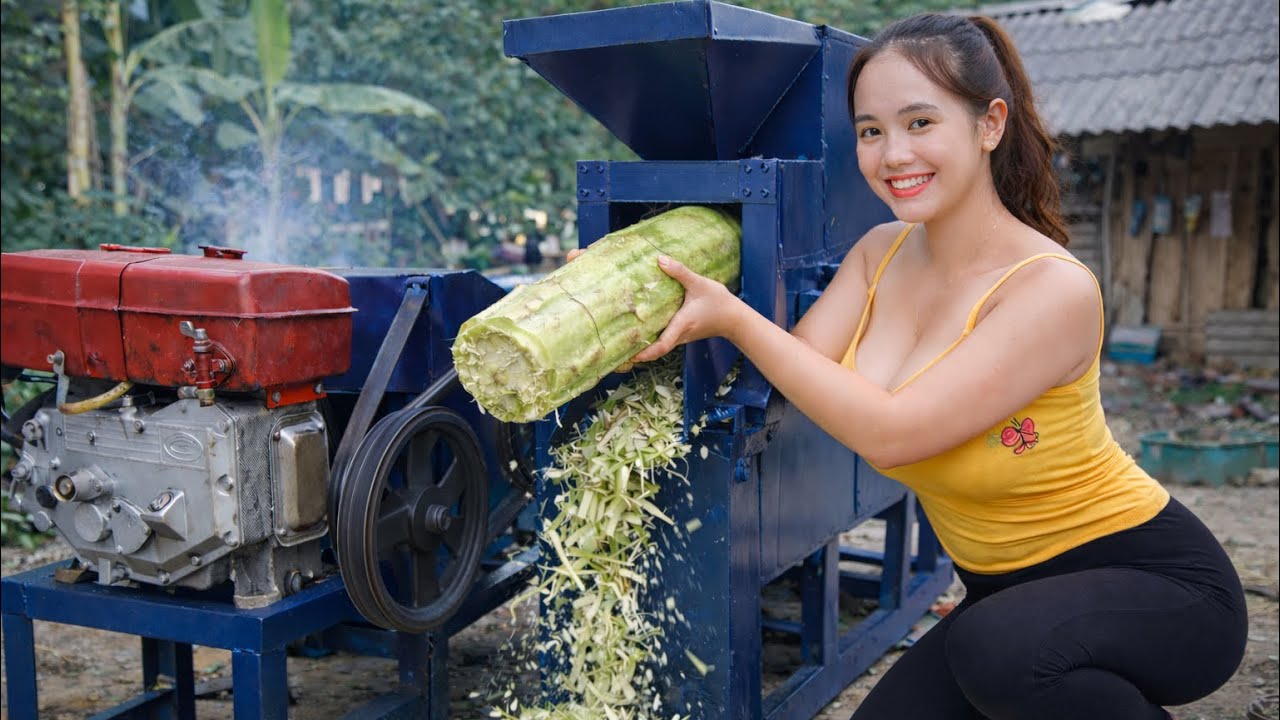 From Old Diesel Engine to Giant Banana Chopper – Beautiful Mechanic’s Brilliant Invention