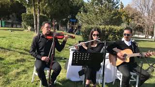 Denizli trio nikah müzik Beyoğlu Müzik 05337199233