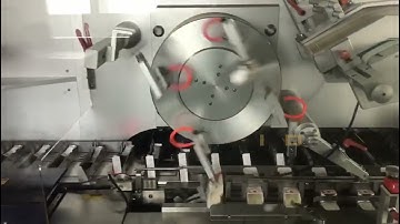 JDZ-260P Continuous Bottle Cartoning Machine: High Speed, GMP-Compliant & EU/US Standards