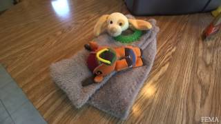 Pets Need Disaster Supplies Too!