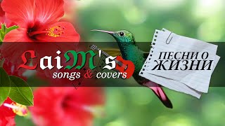 Laims songs and covers - Твой сон