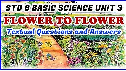 Scert class 6 /Basic Science chapter 3/Flower to flower part 1/English medium VICTERS STD 06 Basic
