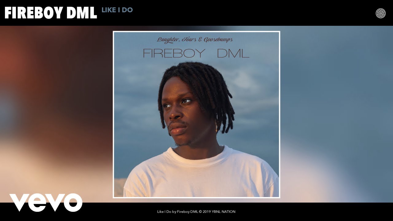 Fireboy DML   Like I Do Audio