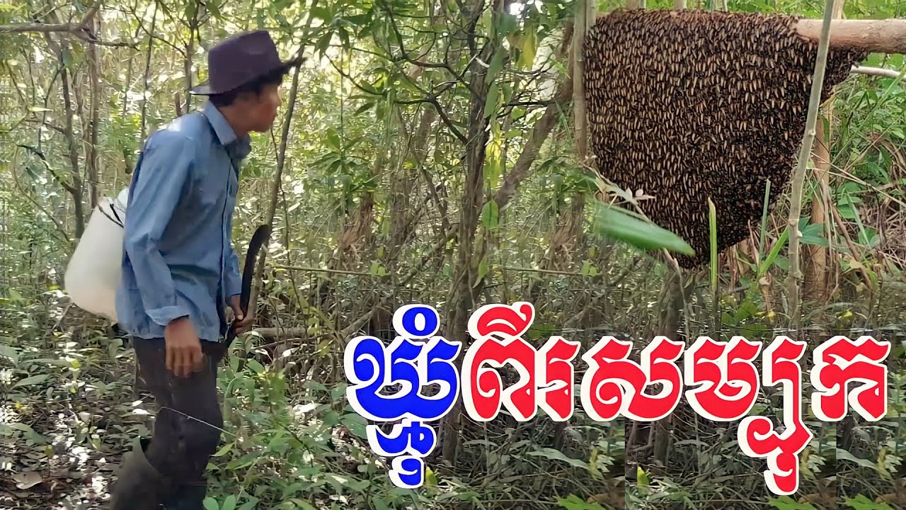 how-to-take-honey-bees-on-the-tree-fast