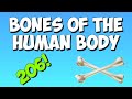 Learn the bones of the human body with the Bones Song!