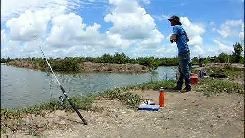 Đi câu đầm ở Cần Giờ không đúng ngày!!!