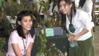 USJ-R JBEA 2011-2012 Activities