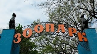 S.O.S! Зоопарк погибает от спада посещаемости. Харьков. Robinzon.TV