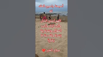 #الرقية_الشرعية #سورة_الكهف #حمزة_بوديب #سورة_البقرة #تحصين #اقوال_وحكم #دويتو #تيك_توك