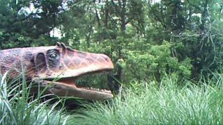 SUNP0070.AVI