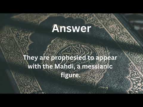 The Islamic Query