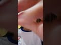 Hulyo 8 2025 Hulyo 8 2025