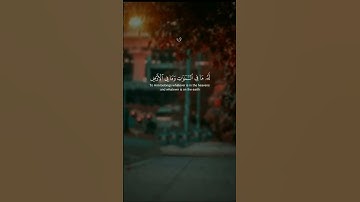 سورة البقرة آية الكرسي #القرآن #اكسبلور #المصحف #سورة #البقرة #آية_الكرسي #فلسطين #غزة #حرة #لايك