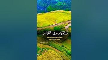 تلاوة خاشعة تريح النفس #قران_كريم #elmulquranعلم #اكسبلور #المصحف #راحة_نفسية #قرآن #trend