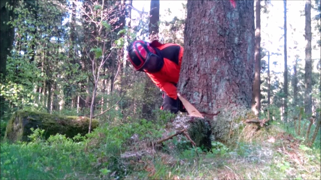 Logging with Echo/Shindaiwa 390 SX