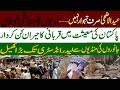 Eid ul Adha Is Not Just a Festival | How Qurbani Boosts Pakistan’s Economy | Billion Rupee Industry