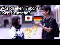 Was denken Japaner über Deutsche? (Umfrage)