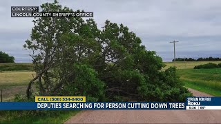 Lincoln County Sheriff’s Office asks public for help finding person who cut down trees