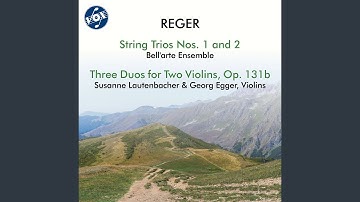 String Trio No. 2 in D Minor, Op. 141b: I. Allegro