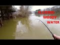 Muddy River Fishing (White bass and Crappie)