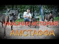 УЖАСНАЯ ИСТОРИЯ АМСТАФФА!!!