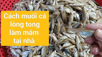 Bí kíp làm mắm cá lòng tong tại nhà
