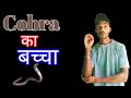 Cobra का बच्चा 🐍| Snakelet 🐍😯😱 | Subham Turi Vlogs