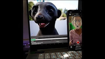 Unreal Engine LiveLink Face app test with Weta Meerkat Project