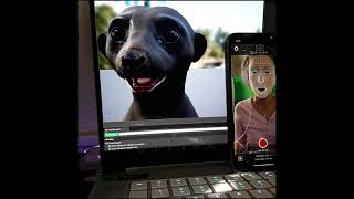 Unreal Engine LiveLink Face app test with Weta Meerkat Project screenshot 2