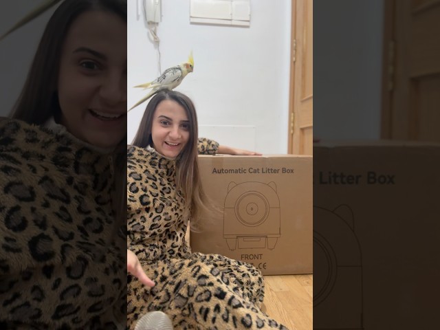 UNBOXING de arenero automático😻 IG: ralladamente✨ #gatos #gatitos #gatete