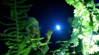 Expedition Bigfoot | S6 E8 FINALE | Branches Shaped Into A Circle Leads To A Structure [HD] [2025]