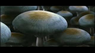 THX Amazing Life (But It's Just the Surround Channels)