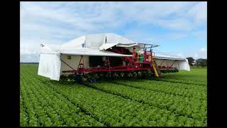 Redpack Flow Wrapper Packaging Lettuce Harvest In Field .Propac