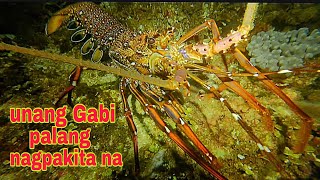 ep326.unang gabi palang sa isla banagan Balatan nagpakita na.night spearfishing Philippines.