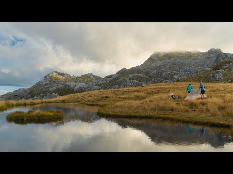 Video: Kahurangi National Park: de complete gids