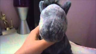 Webkinz Contest Results! Please Watch If You Entered!