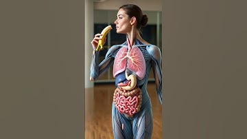 What REALLY Happens When You Eat a Banana | 3D Digestive System Animation