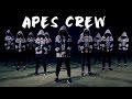 APES CREW // DANCE VIDEO